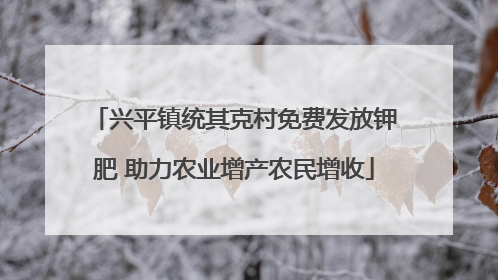 兴平镇统其克村免费发放钾肥 助力农业增产农民增收